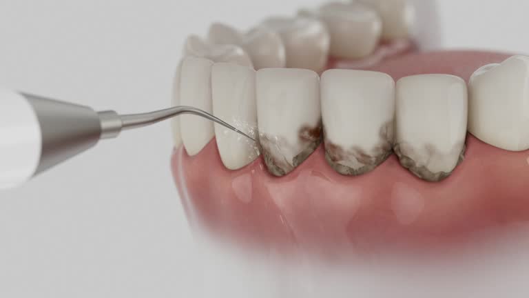 Reliable Dental contractor in Scottville, MI by Dentist Open Now